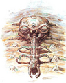 ALttP Skull Woods Artwork.png