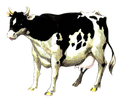 OoT Cow Artwork.png