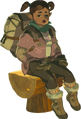 BotW Canolo Model.png