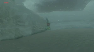 BotW Pikida Stonegrove Korok