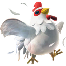 HW Cucco