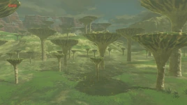 BotW Ludfo's Bog
