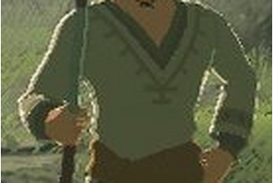 Tokk - Zelda Wiki
