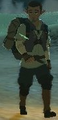 BotW Bugut Model.png