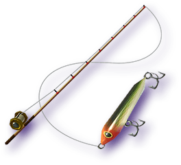 Fishing Rod - Zelda Wiki