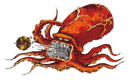 Octorok - Zelda Wiki - Neoseeker
