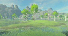 BotW Wes Island