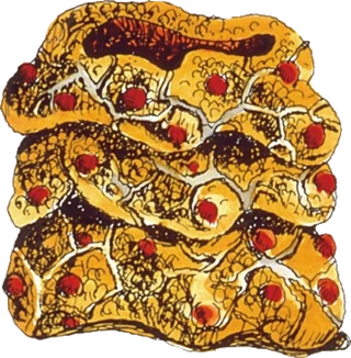 TLoZ Like Like Artwork.png