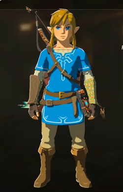 nødvendig stemning mirakel Champion's Tunic - Zelda Wiki