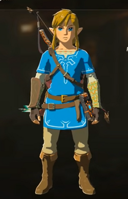 Vanærende Mansion øje Champion's Tunic - Zelda Wiki