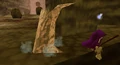 The tree atop the cliff face that Link can Hookshot onto