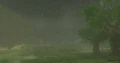 Rain in Breath of the Wild