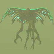 Moth Gibo