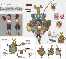 Beedle Zelda Wiki