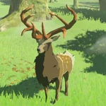 BotW Hyrule Compendium Mountain Buck