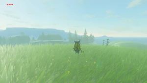 BotW Akkala Highlands Korok 2