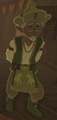 BotW Ashe Model.png