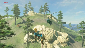 BotW Lindor's Brow Korok