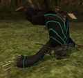 Zant after falling off of a pillar in Ook's room