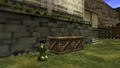 The Buyer in Kakariko Village from Ocarina of Time