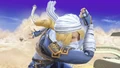 Closeup of Sheik