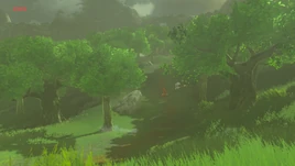 BotW Midla Woods