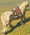 A Domesticated Horse from Breath of the Wild