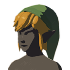 BotW Cap of the Sky Icon