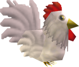 A Cucco