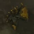 TotK Hyrule Compendium Black Horriblin Horn