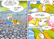 Link and Zelda meet in a dream