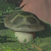 229 Ironshroom