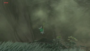 BotW Hebra Mountains Korok 2