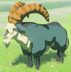 BotW Mountain Goat Model