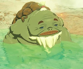 BotW Grapp Model