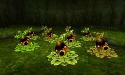 Forest Stage, Zeldapedia