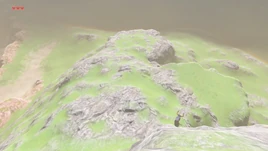 BotW Temto Hill