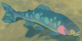 BotW Chillfin Trout Model.png