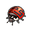 SS Volcanic Ladybug Icon