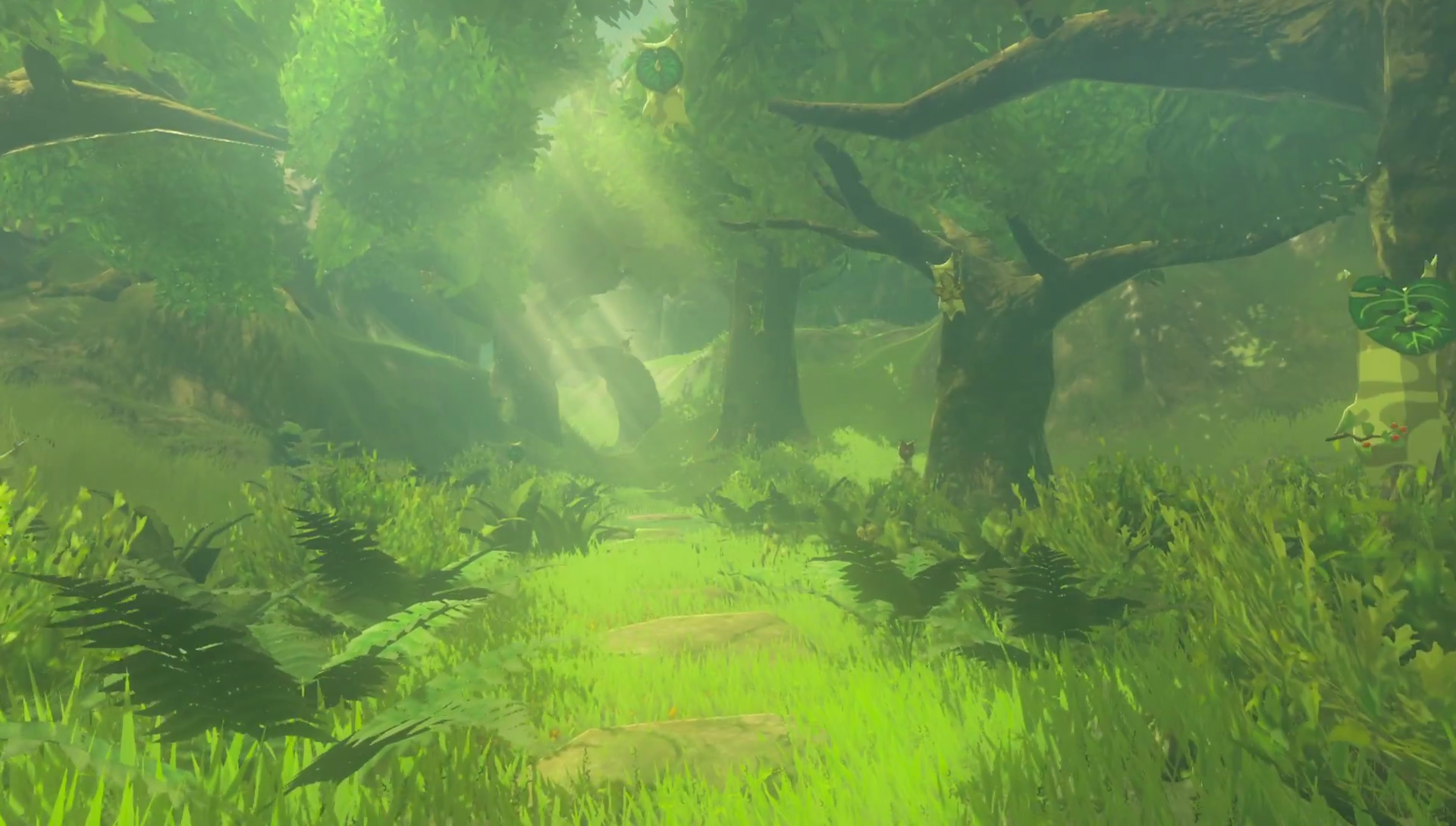 Zelda: Breath of the Wild - Lost Woods route directions and how to reach  Korok Forest