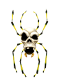 Skullwalltula
