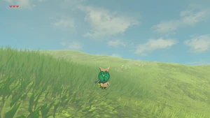BotW Farosh Hills Korok 2