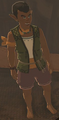 BotW Armes Model.png