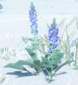 BotW Cool Safflina Model.png