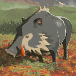 BotW Hyrule Compendium Red-Tusked Boar