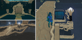 BotW Shrine of Resurrection Concept Artwork 3.png