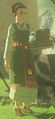 BotW Amira Model.png
