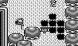 Zelda Link's Awakening DX Glitch Question