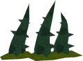 Vines