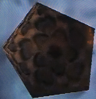 OoT Beehive Model